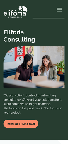 Consulting website, built by MindWP, on a phone